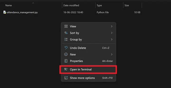 Opening terminal in Python project folder