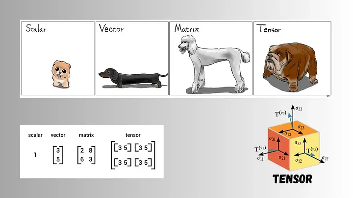 Hierarchy diagram: scalar → vector → matrix → tensor