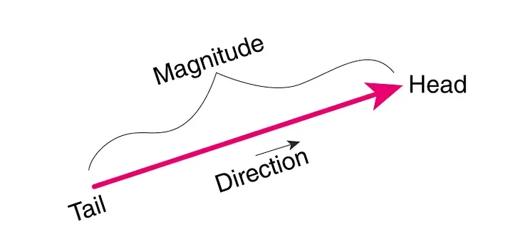 Scalar as a point and vector as an arrow with direction in 2D space
