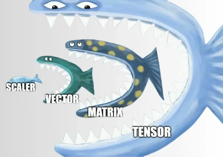 Summary comparison of scalar, vector, matrix, and tensor with dimensions and ML use cases