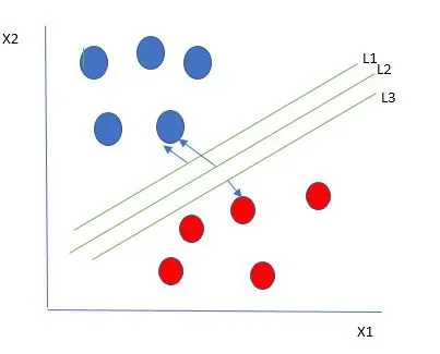 SVM hyperplane with margins L1, L2, L3