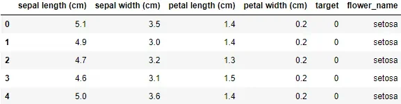 Iris dataset scatter plot — petal length vs petal width